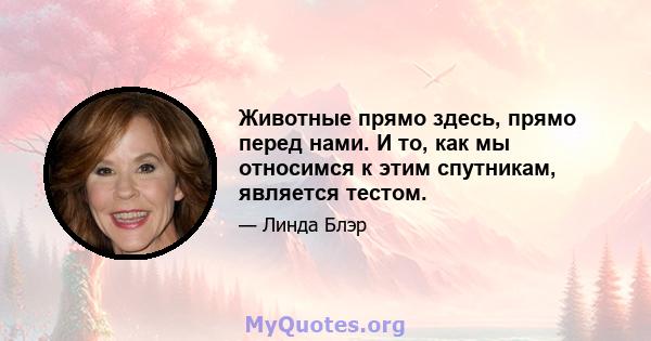 Животные прямо здесь, прямо перед нами. И то, как мы относимся к этим спутникам, является тестом.