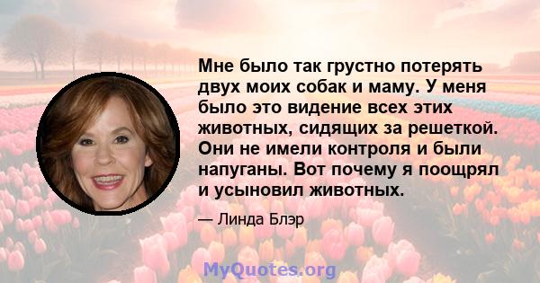 Мне было так грустно потерять двух моих собак и маму. У меня было это видение всех этих животных, сидящих за решеткой. Они не имели контроля и были напуганы. Вот почему я поощрял и усыновил животных.