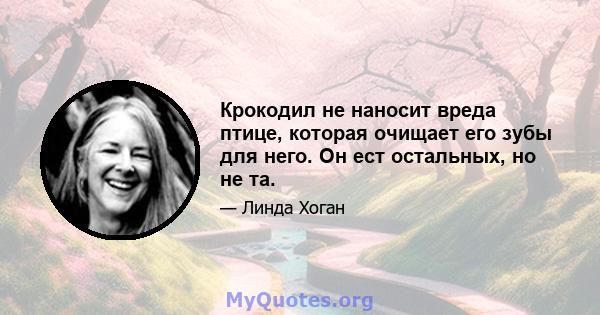 Крокодил не наносит вреда птице, которая очищает его зубы для него. Он ест остальных, но не та.