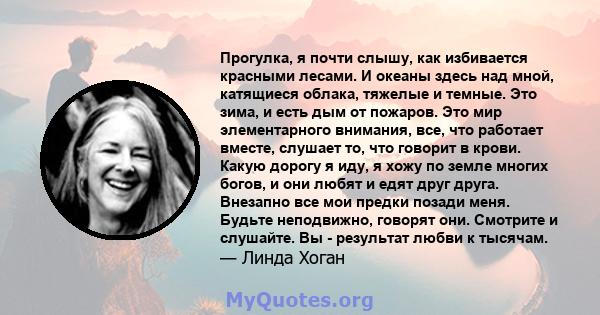 Прогулка, я почти слышу, как избивается красными лесами. И океаны здесь над мной, катящиеся облака, тяжелые и темные. Это зима, и есть дым от пожаров. Это мир элементарного внимания, все, что работает вместе, слушает