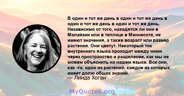 В один и тот же день в один и тот же день в один и тот же день в один и тот же день. Независимо от того, находятся ли они в Малайзии или в теплице в Миннесоте, не имеют значения, а также возраст или размер растения. Они 