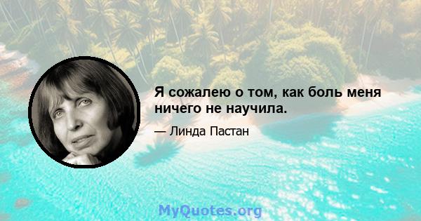 Я сожалею о том, как боль меня ничего не научила.