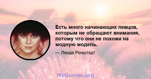 Есть много начинающих певцов, которым не обращают внимания, потому что они не похожи на модную модель.