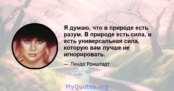 Я думаю, что в природе есть разум. В природе есть сила, и есть универсальная сила, которую вам лучше не игнорировать.