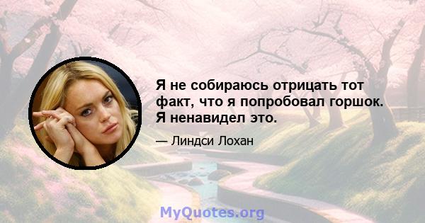 Я не собираюсь отрицать тот факт, что я попробовал горшок. Я ненавидел это.