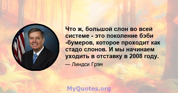 Что ж, большой слон во всей системе - это поколение бэби -бумеров, которое проходит как стадо слонов. И мы начинаем уходить в отставку в 2008 году.