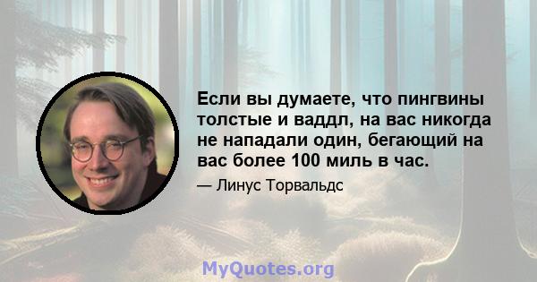 Если вы думаете, что пингвины толстые и ваддл, на вас никогда не нападали один, бегающий на вас более 100 миль в час.