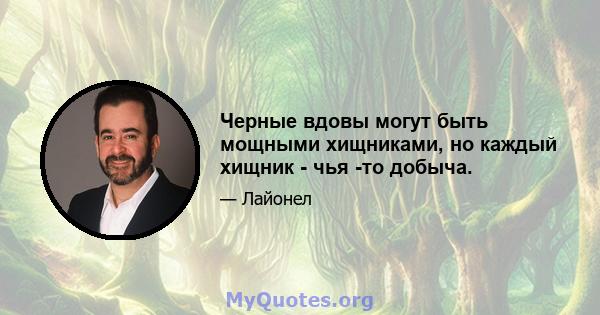 Черные вдовы могут быть мощными хищниками, но каждый хищник - чья -то добыча.