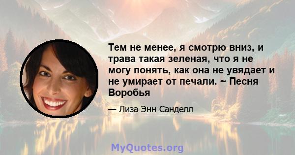 Тем не менее, я смотрю вниз, и трава такая зеленая, что я не могу понять, как она не увядает и не умирает от печали. ~ Песня Воробья