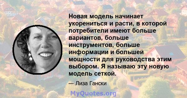 Новая модель начинает укорениться и расти, в которой потребители имеют больше вариантов, больше инструментов, больше информации и большей мощности для руководства этим выбором. Я называю эту новую модель сеткой.