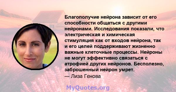 Благополучие нейрона зависит от его способности общаться с другими нейронами. Исследования показали, что электрическая и химическая стимуляция как от входов нейрона, так и его целей поддерживают жизненно важные