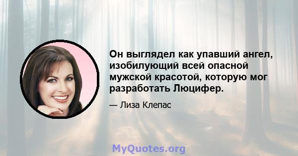 Он выглядел как упавший ангел, изобилующий всей опасной мужской красотой, которую мог разработать Люцифер.