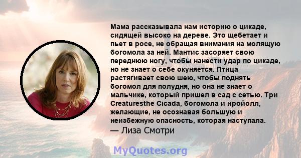 Мама рассказывала нам историю о цикаде, сидящей высоко на дереве. Это щебетает и пьет в росе, не обращая внимания на молящую богомола за ней. Мантис засоряет свою переднюю ногу, чтобы нанести удар по цикаде, но не знает 