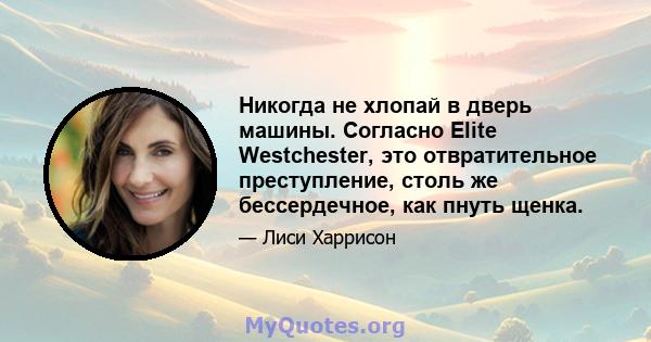 Никогда не хлопай в дверь машины. Согласно Elite Westchester, это отвратительное преступление, столь же бессердечное, как пнуть щенка.