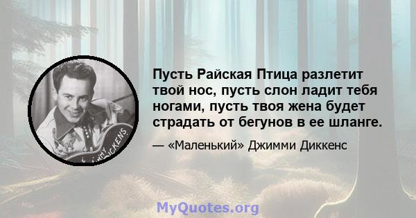 Пусть Райская Птица разлетит твой нос, пусть слон ладит тебя ногами, пусть твоя жена будет страдать от бегунов в ее шланге.