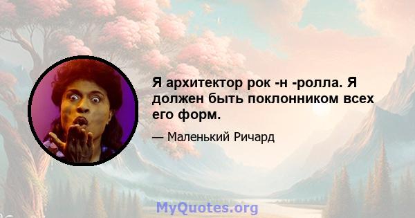 Я архитектор рок -н -ролла. Я должен быть поклонником всех его форм.