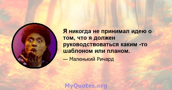 Я никогда не принимал идею о том, что я должен руководствоваться каким -то шаблоном или планом.