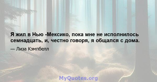 Я жил в Нью -Мексико, пока мне не исполнилось семнадцать, и, честно говоря, я общался с дома.