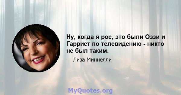 Ну, когда я рос, это были Оззи и Гарриет по телевидению - никто не был таким.