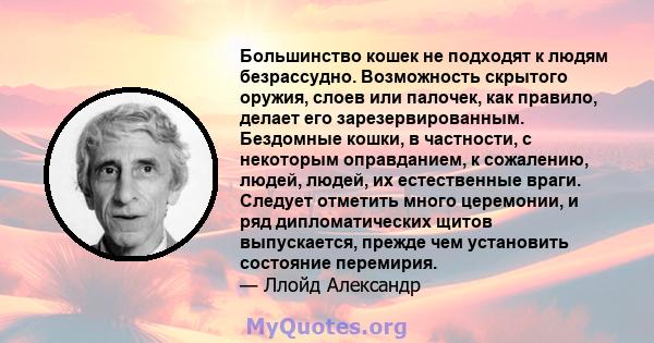 Большинство кошек не подходят к людям безрассудно. Возможность скрытого оружия, слоев или палочек, как правило, делает его зарезервированным. Бездомные кошки, в частности, с некоторым оправданием, к сожалению, людей,