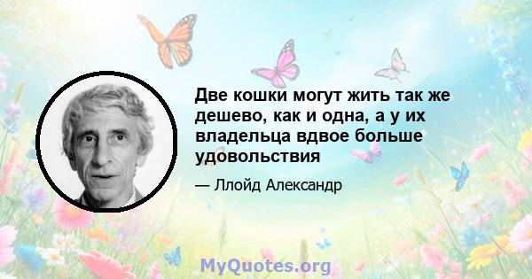 Две кошки могут жить так же дешево, как и одна, а у их владельца вдвое больше удовольствия