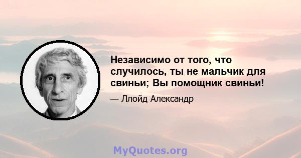 Независимо от того, что случилось, ты не мальчик для свиньи; Вы помощник свиньи!