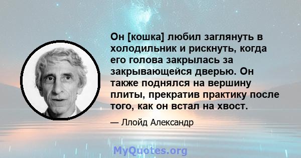 Он [кошка] любил заглянуть в холодильник и рискнуть, когда его голова закрылась за закрывающейся дверью. Он также поднялся на вершину плиты, прекратив практику после того, как он встал на хвост.