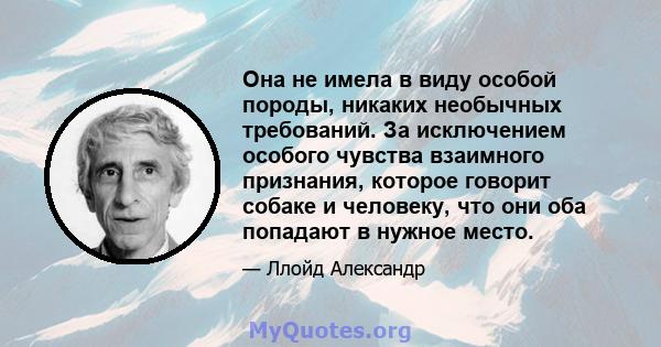 Она не имела в виду особой породы, никаких необычных требований. За исключением особого чувства взаимного признания, которое говорит собаке и человеку, что они оба попадают в нужное место.