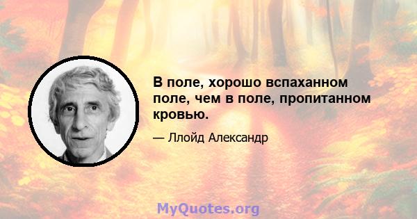 В поле, хорошо вспаханном поле, чем в поле, пропитанном кровью.