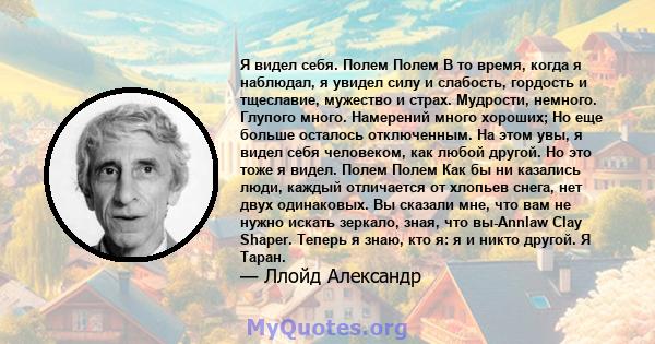 Я видел себя. Полем Полем В то время, когда я наблюдал, я увидел силу и слабость, гордость и тщеславие, мужество и страх. Мудрости, немного. Глупого много. Намерений много хороших; Но еще больше осталось отключенным. На 