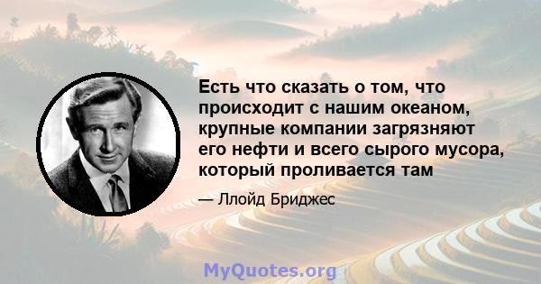 Есть что сказать о том, что происходит с нашим океаном, крупные компании загрязняют его нефти и всего сырого мусора, который проливается там