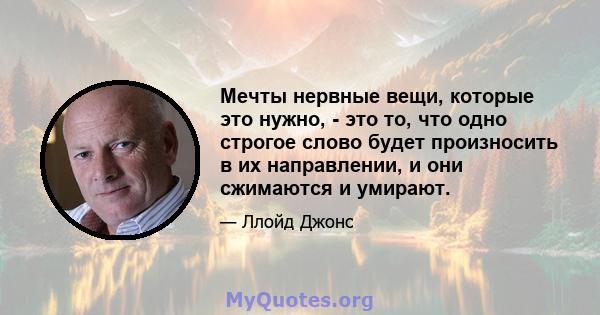 Мечты нервные вещи, которые это нужно, - это то, что одно строгое слово будет произносить в их направлении, и они сжимаются и умирают.