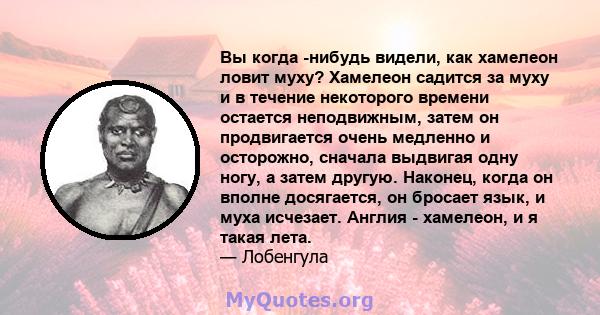 Вы когда -нибудь видели, как хамелеон ловит муху? Хамелеон садится за муху и в течение некоторого времени остается неподвижным, затем он продвигается очень медленно и осторожно, сначала выдвигая одну ногу, а затем