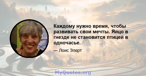 Каждому нужно время, чтобы развивать свои мечты. Яйцо в гнезде не становится птицей в одночасье.