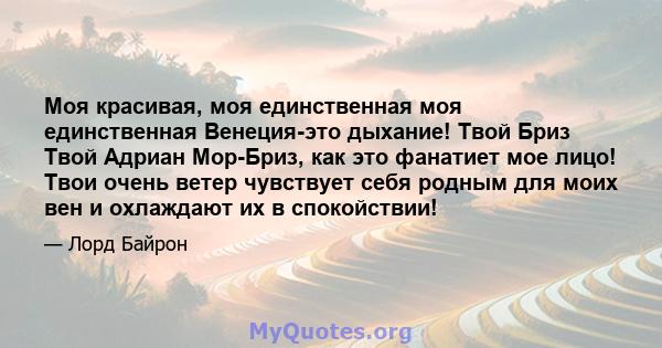 Моя красивая, моя единственная моя единственная Венеция-это дыхание! Твой Бриз Твой Адриан Мор-Бриз, как это фанатиет мое лицо! Твои очень ветер чувствует себя родным для моих вен и охлаждают их в спокойствии!