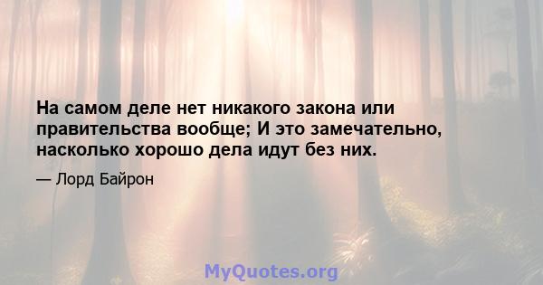 На самом деле нет никакого закона или правительства вообще; И это замечательно, насколько хорошо дела идут без них.