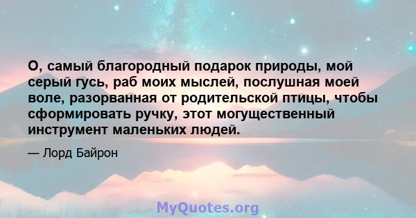 О, самый благородный подарок природы, мой серый гусь, раб моих мыслей, послушная моей воле, разорванная от родительской птицы, чтобы сформировать ручку, этот могущественный инструмент маленьких людей.