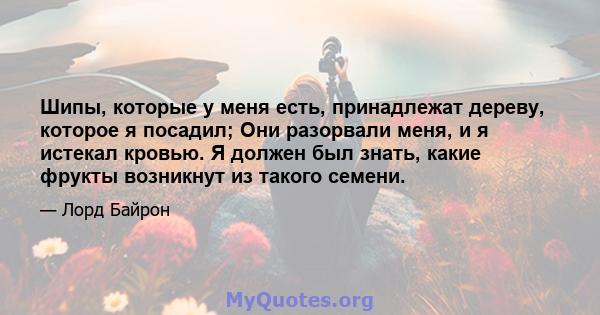 Шипы, которые у меня есть, принадлежат дереву, которое я посадил; Они разорвали меня, и я истекал кровью. Я должен был знать, какие фрукты возникнут из такого семени.