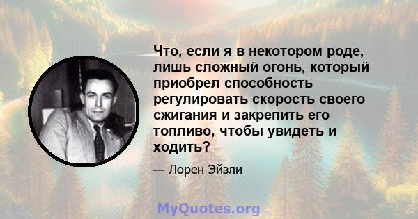 Что, если я в некотором роде, лишь сложный огонь, который приобрел способность регулировать скорость своего сжигания и закрепить его топливо, чтобы увидеть и ходить?