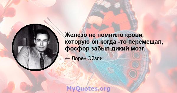 Железо не помнило крови, которую он когда -то перемещал, фосфор забыл дикий мозг.