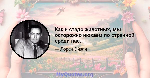 Как и стадо животных, мы осторожно нюхаем по странной среди нас.