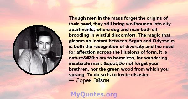 Though men in the mass forget the origins of their need, they still bring wolfhounds into city apartments, where dog and man both sit brooding in wistful discomfort. The magic that gleams an instant between Argos and