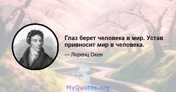 Глаз берет человека в мир. Устав привносит мир в человека.