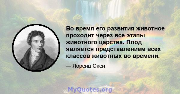 Во время его развития животное проходит через все этапы животного царства. Плод является представлением всех классов животных во времени.