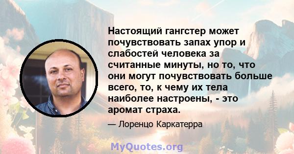 Настоящий гангстер может почувствовать запах упор и слабостей человека за считанные минуты, но то, что они могут почувствовать больше всего, то, к чему их тела наиболее настроены, - это аромат страха.