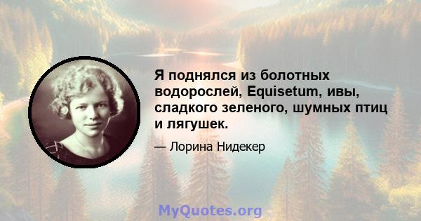 Я поднялся из болотных водорослей, Equisetum, ивы, сладкого зеленого, шумных птиц и лягушек.