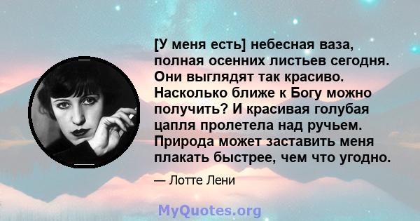 [У меня есть] небесная ваза, полная осенних листьев сегодня. Они выглядят так красиво. Насколько ближе к Богу можно получить? И красивая голубая цапля пролетела над ручьем. Природа может заставить меня плакать быстрее,