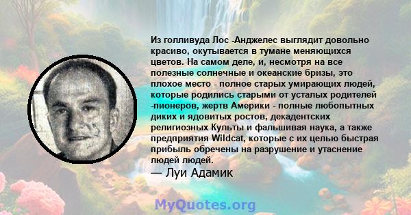 Из голливуда Лос -Анджелес выглядит довольно красиво, окутывается в тумане меняющихся цветов. На самом деле, и, несмотря на все полезные солнечные и океанские бризы, это плохое место - полное старых умирающих людей,