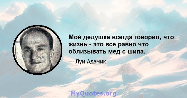 Мой дедушка всегда говорил, что жизнь - это все равно что облизывать мед с шипа.