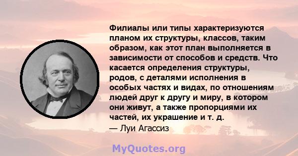 Филиалы или типы характеризуются планом их структуры, классов, таким образом, как этот план выполняется в зависимости от способов и средств. Что касается определения структуры, родов, с деталями исполнения в особых